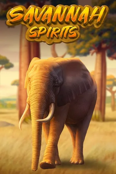 savannahspirits